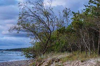 Dota 2 新秀选手突破自我，dota2新人职业选手