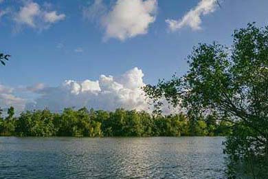 赛制变革解析：新规则对比赛策略的影响，比赛规则解读